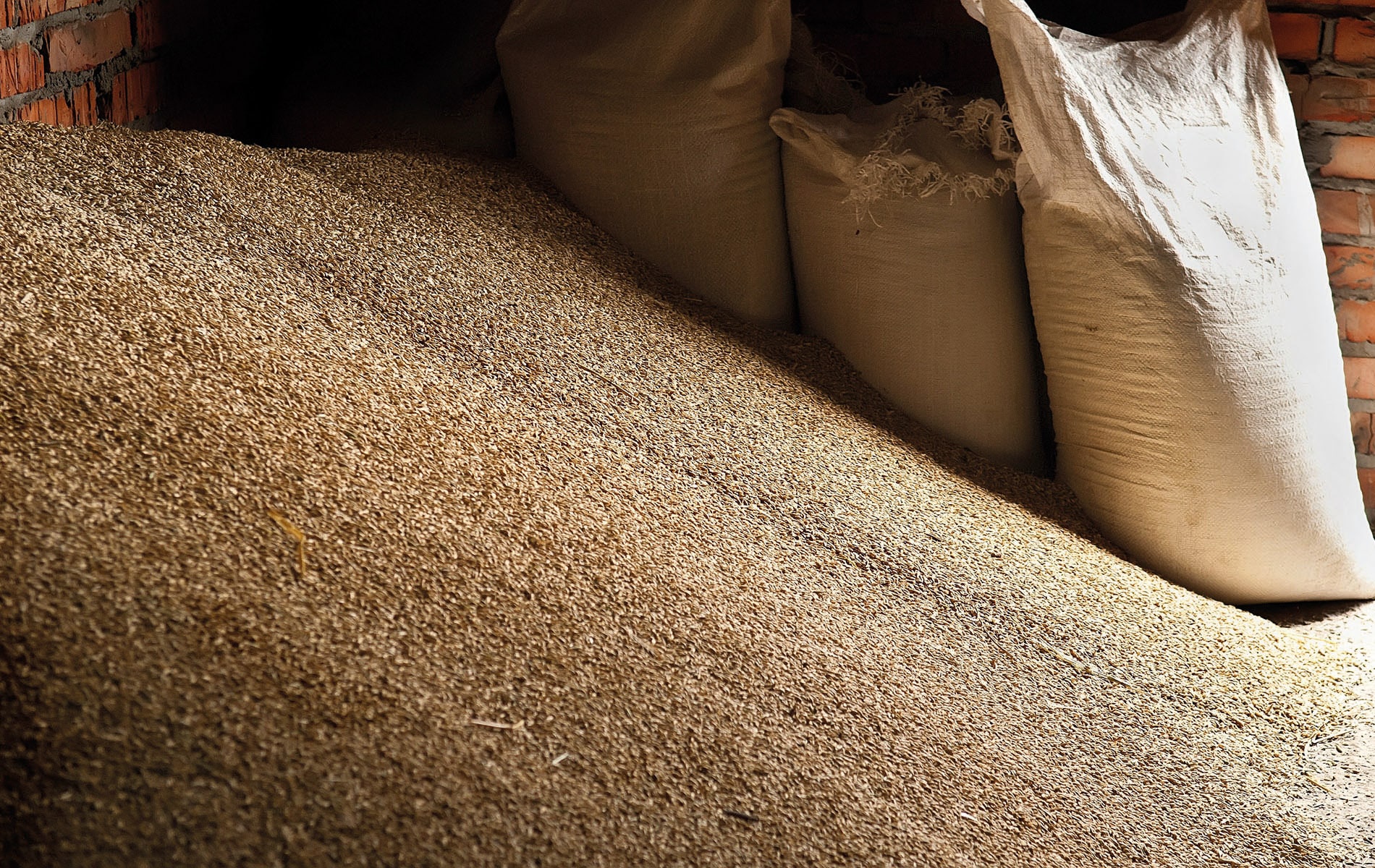 Audit topographique d’un site de stockage agricole|